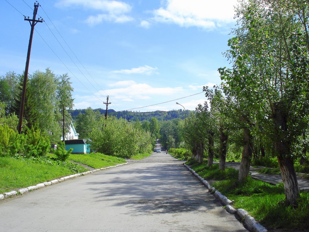 ул. Фадеевых