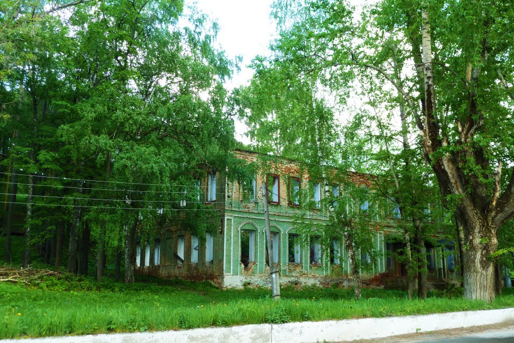 Михайловск. Старый заброшенный дом.
