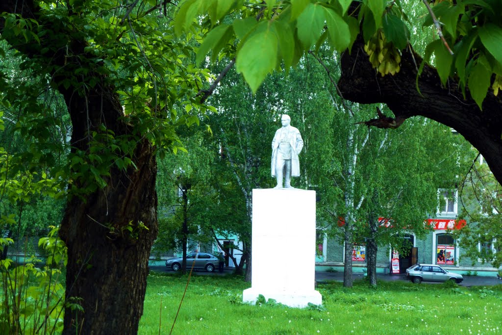 Михайловск. Памятник Кирову у "Кировского".