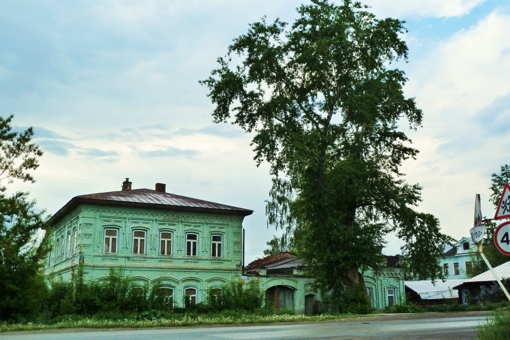 Михайловск. Старый дом с тополем.
