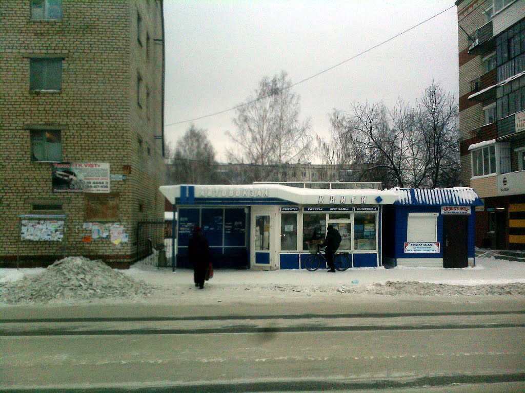 Михайловск. Автовокзал. 2013 г