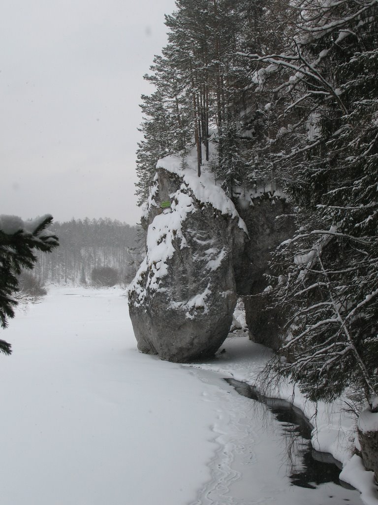 Заповедник Оленьи ручьи скала  Дароватый камень (03.02.2009 г.)