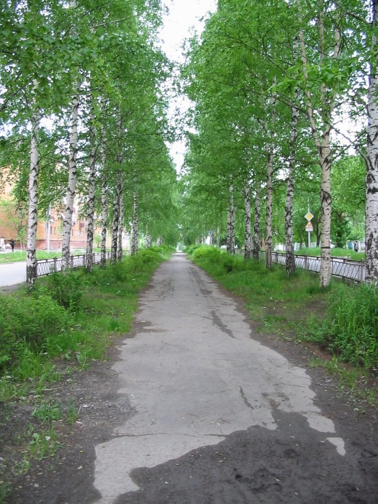 Зеленый бульвар
