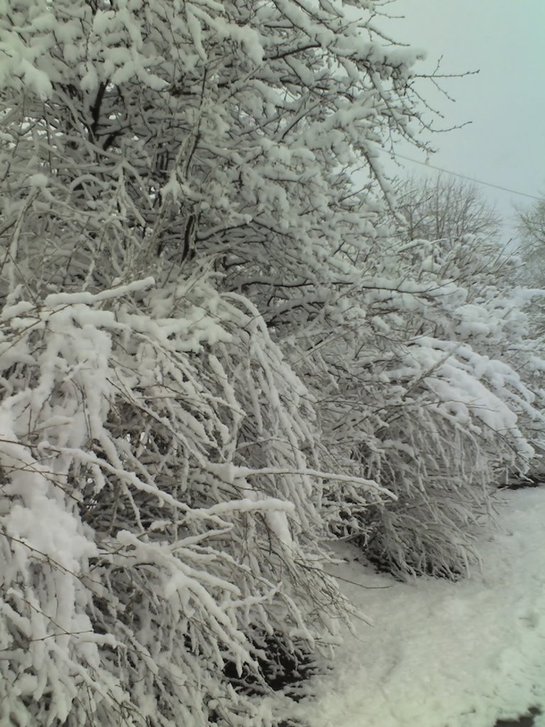 05-февраля-07