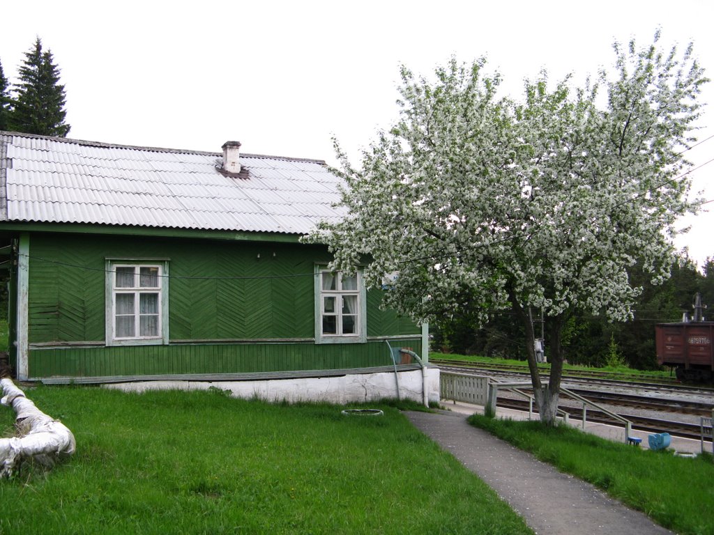 Станция МИР
