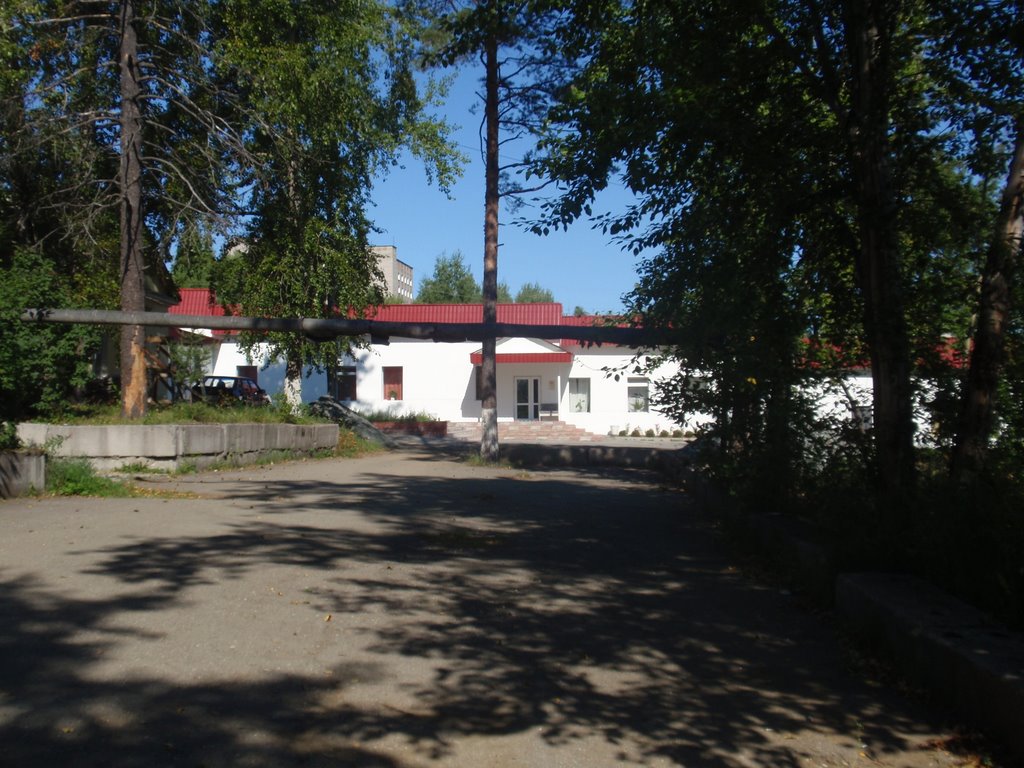 Kavkaz