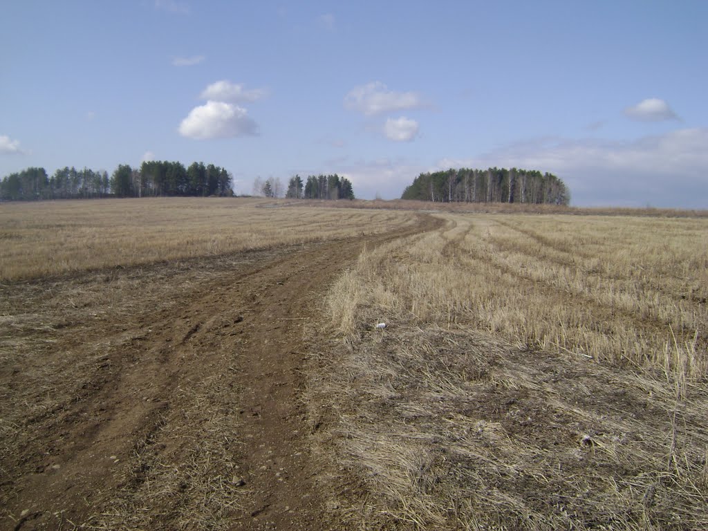 Поля русские