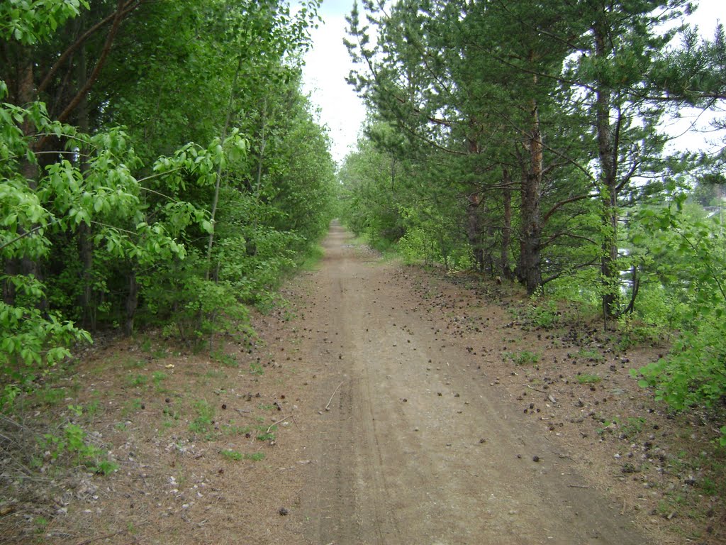 Аллея