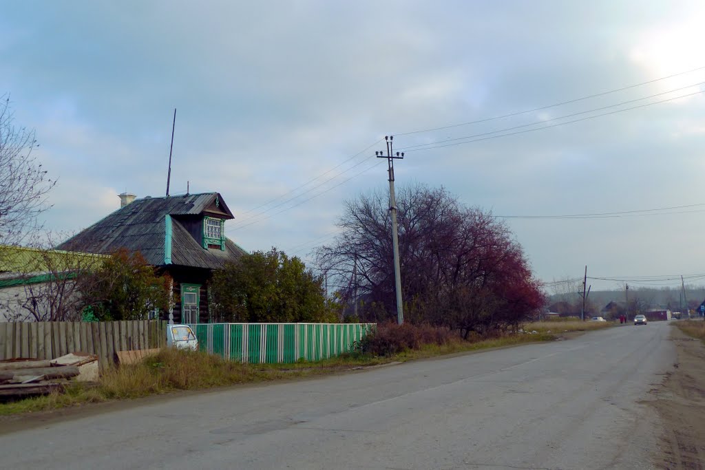 Новая Ляля. Частный сектор.