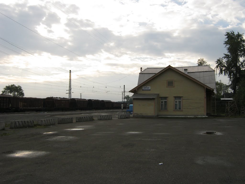 Вокзал, ст. Нова Ляля, 2010.
