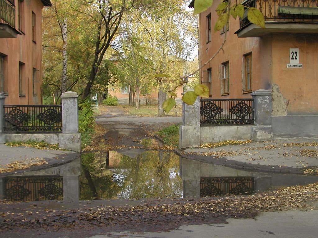 Папанинцев