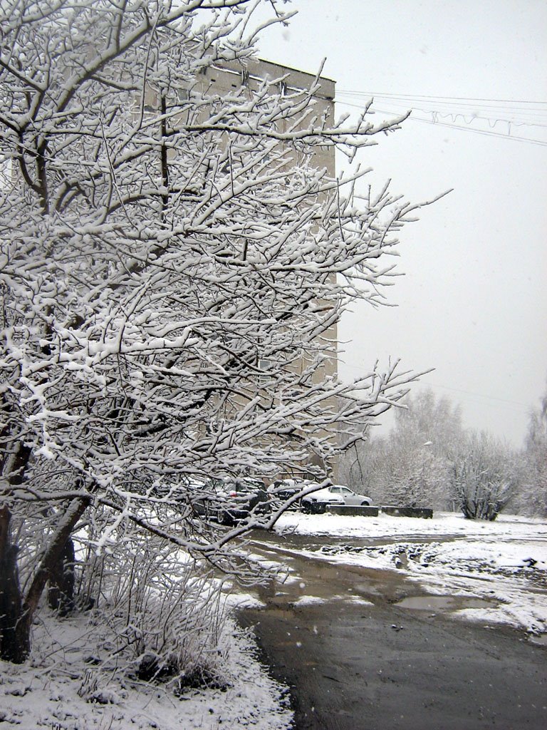 Первомайская пурга. Двор на Советской. Snowstorm on May 1, 2009. Sovetskaya str.