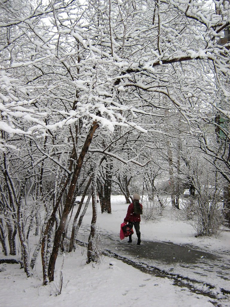 Первомайская пурга. Единственный островок цвета в черно-белом мире. Snowstorm on May 1, 2009. The only coloured spot