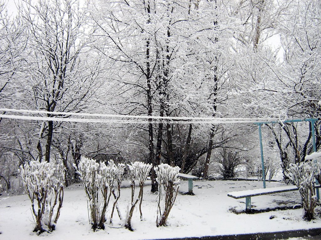 ервомайская пурга. Белый двор на Советской. Snowstorm on May 1, 2009. White yard at Sovetskaya str.