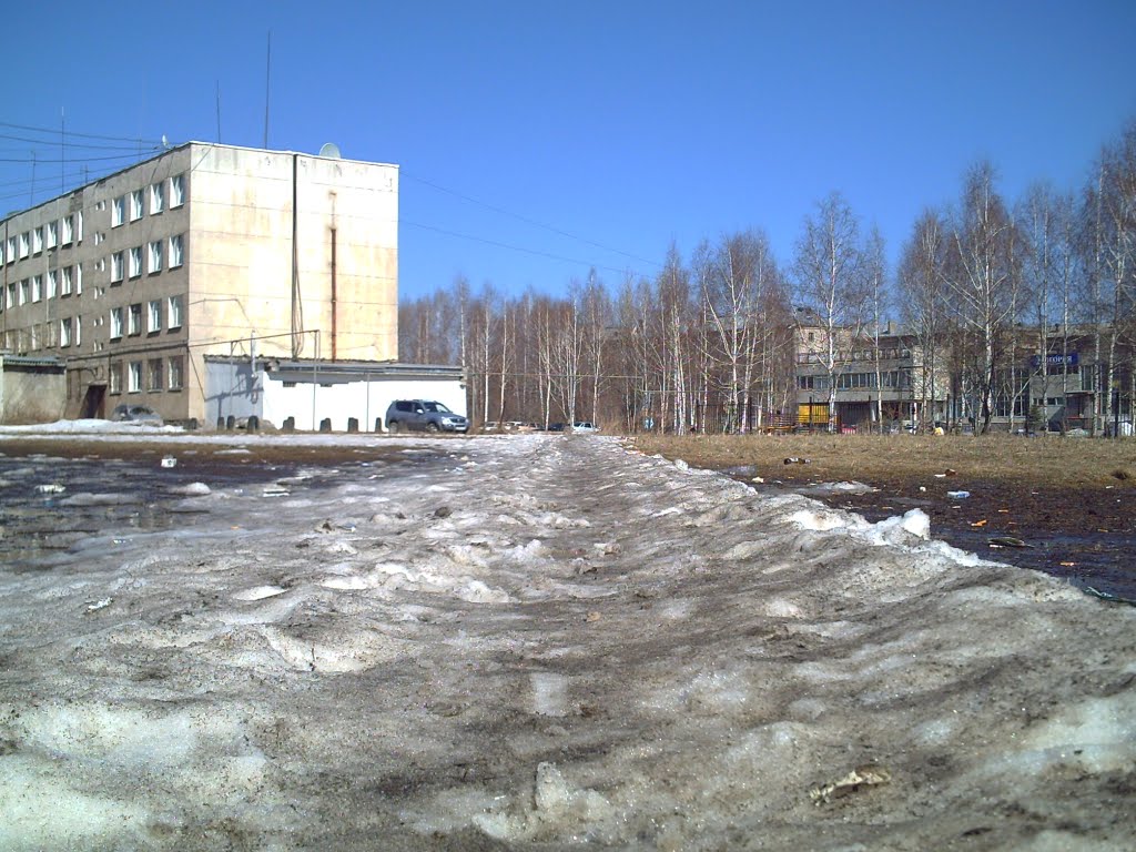 ПОЛЕВСКОЙ. Весна.