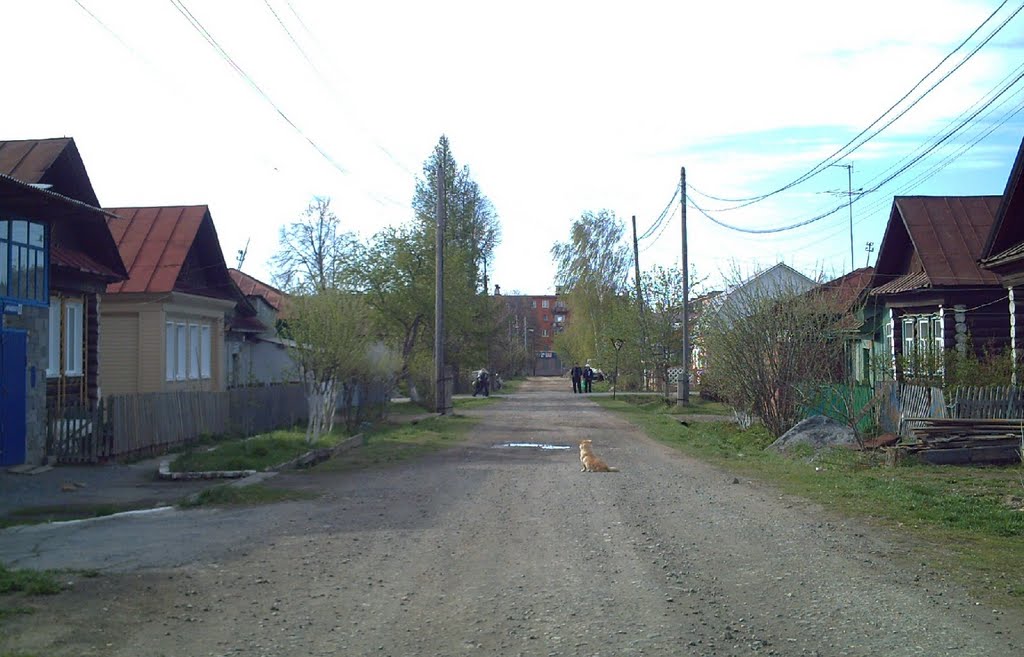ПОЛЕВСКОЙ. Ул. Чернышевского.