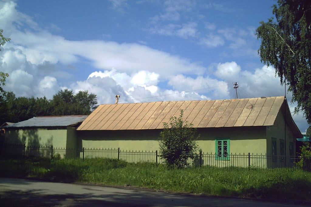 Хаки.
