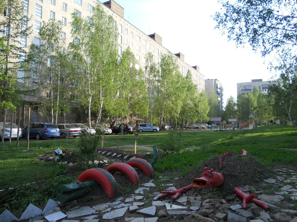 Крокодилы.