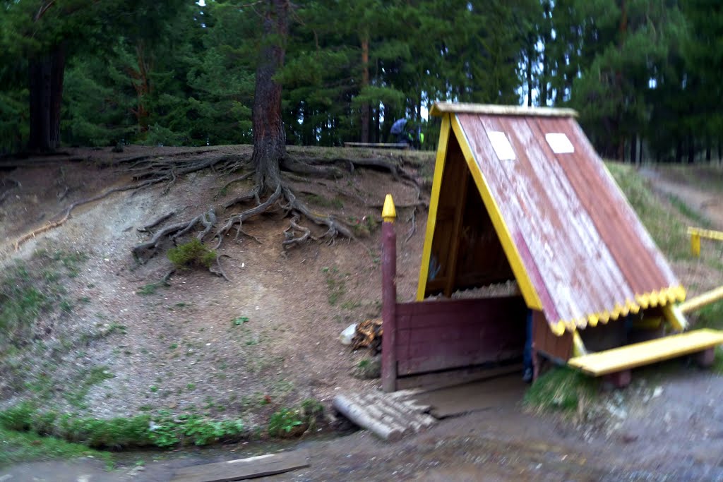 Ревда. Кабалинские родники. Корни.