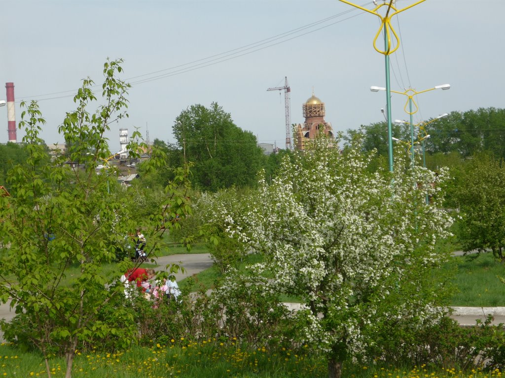 Еланский парк