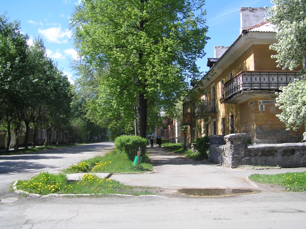 Угол Чайковского - Азина, Лето 2005