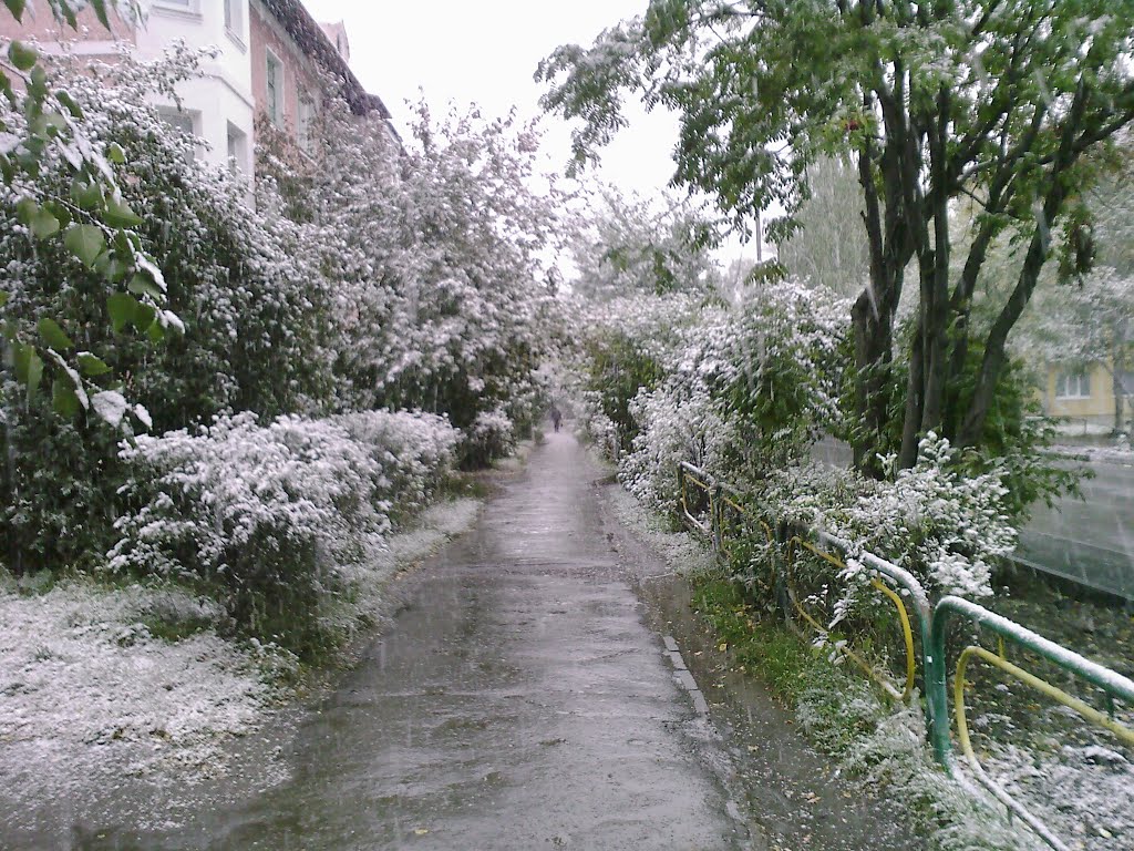 12 сентября 2010 г     ул.Мира