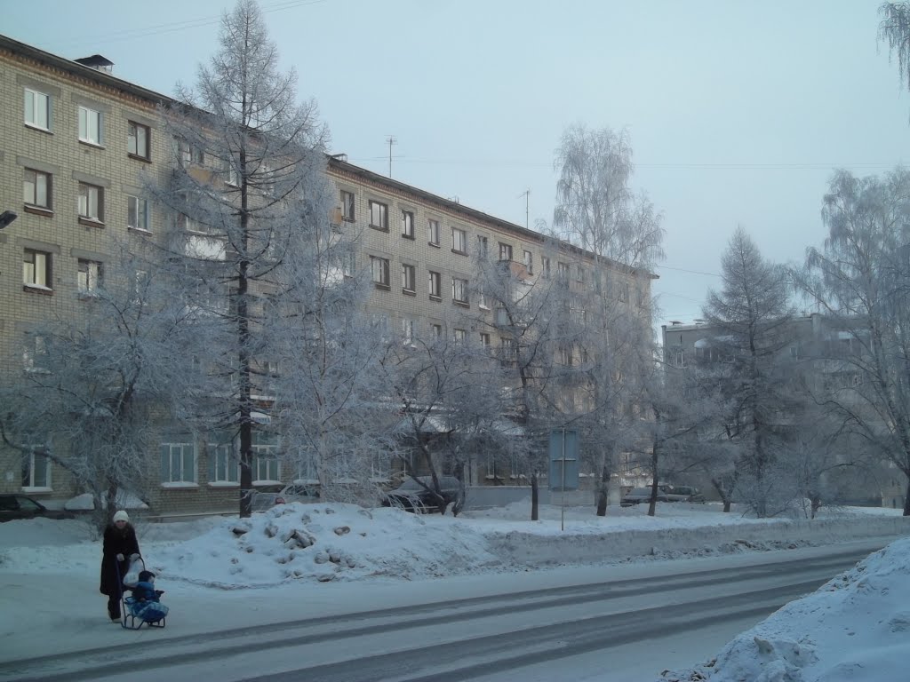 17 января 2011 г