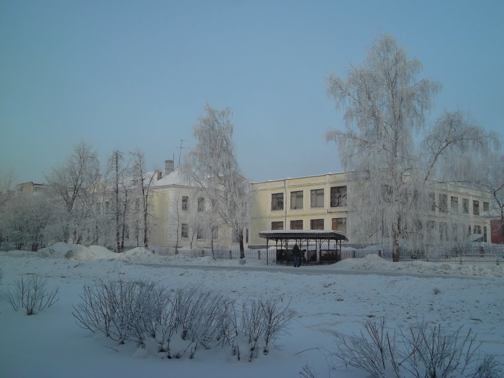 17 января 2011 г