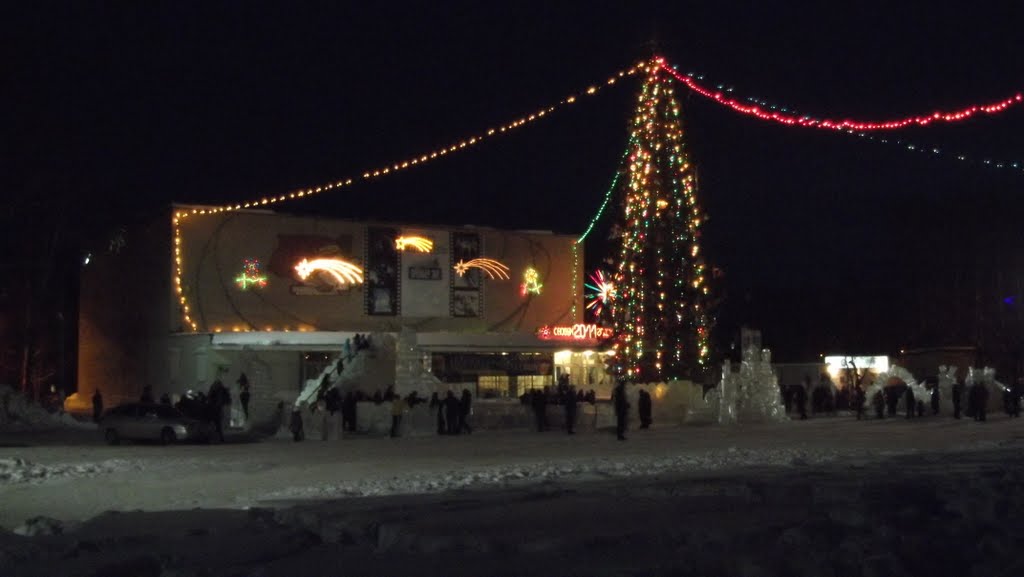 5 января 2011 г