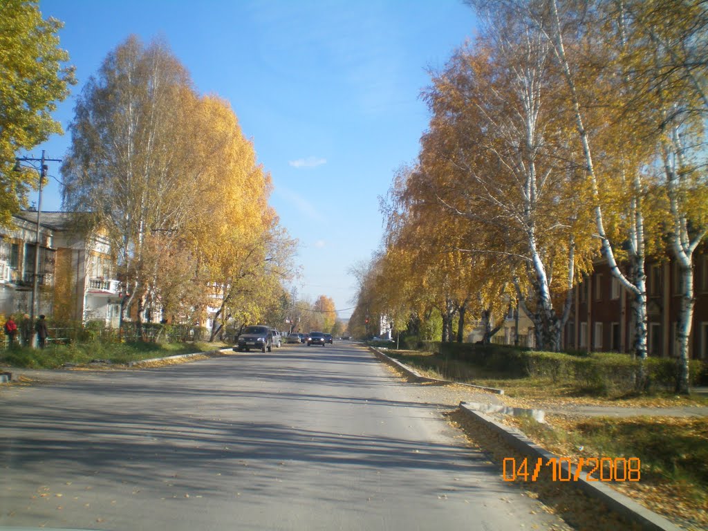 ул. Карла Либкнехта