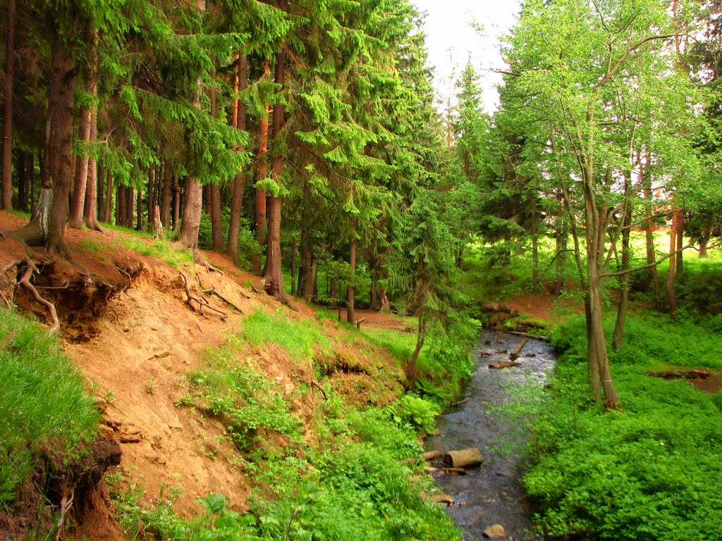 р.Емелино