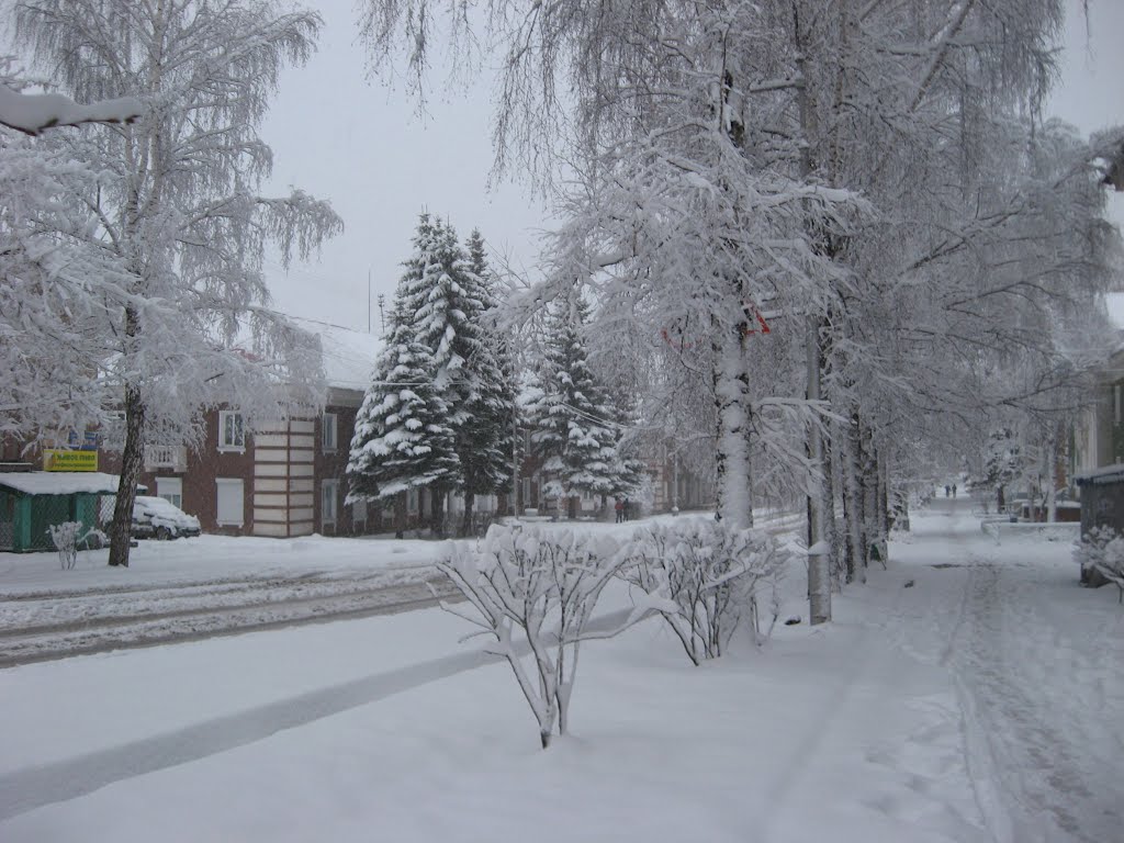 ул.Цветников г.Ревда