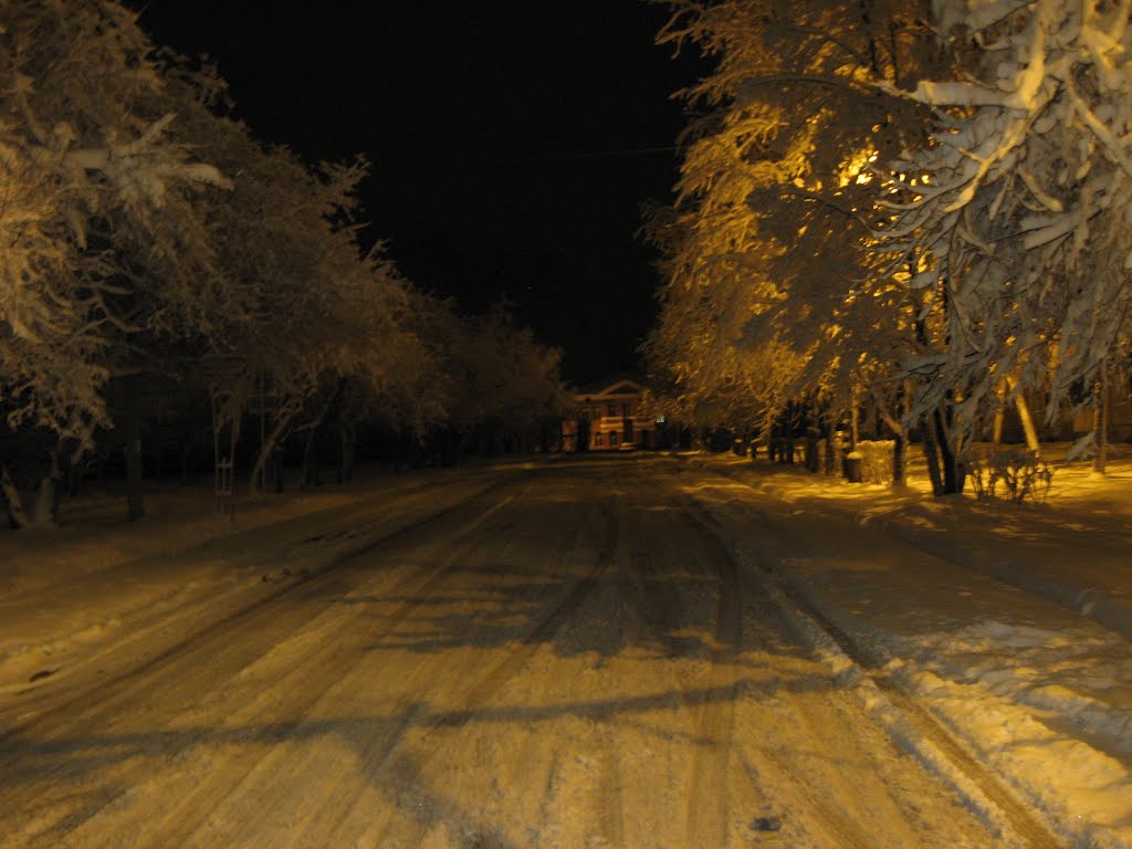 ул.Цветников