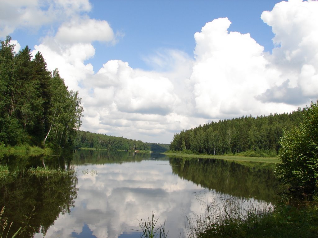 Устье Сосновика