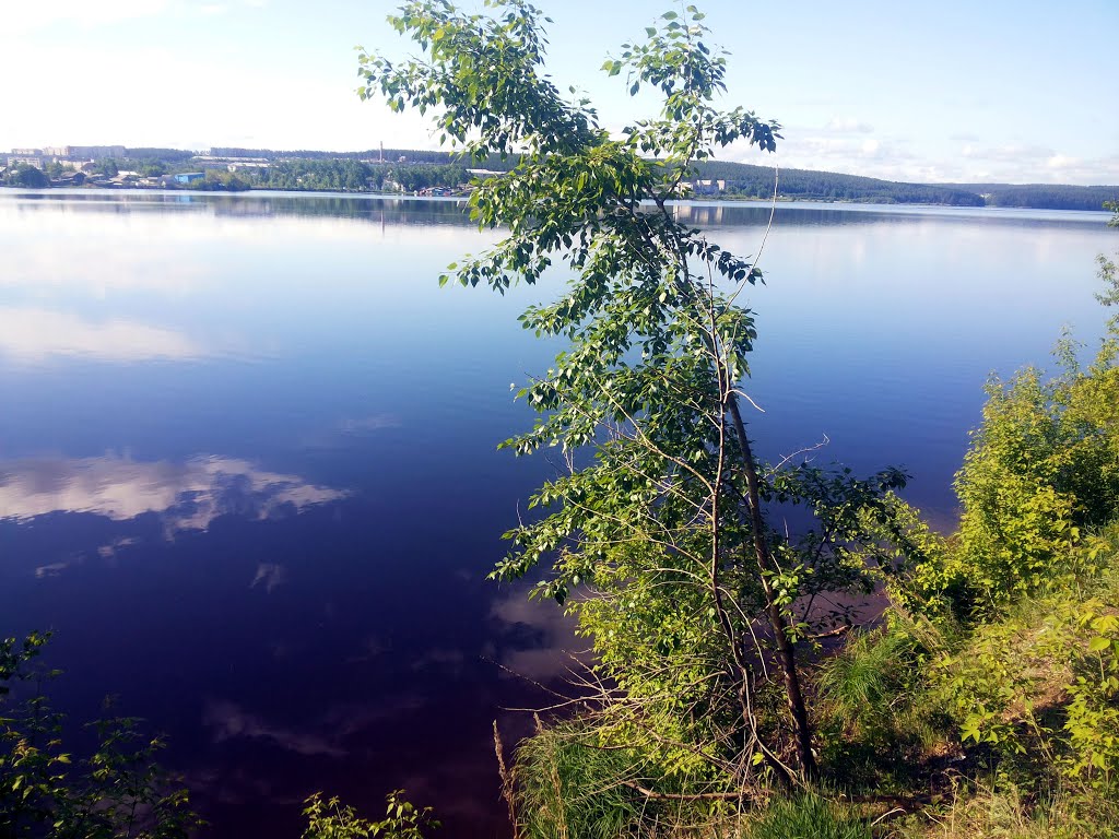Реж. Городской пруд.