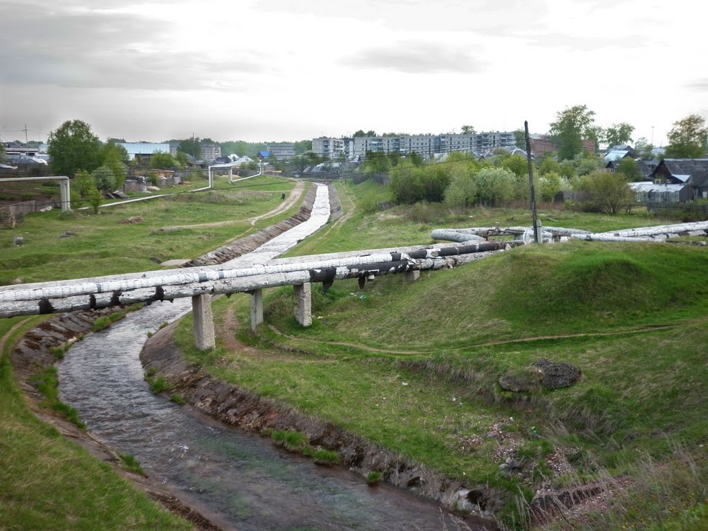 Saraynaja