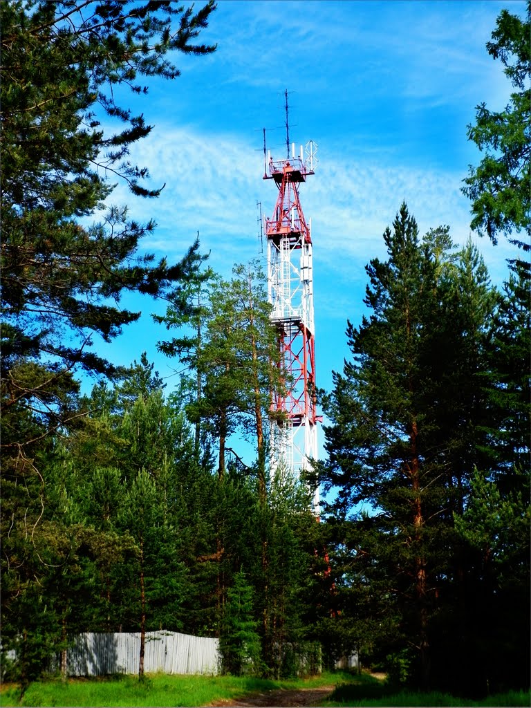 Television tower
