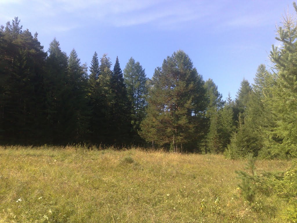 полянка за Дублером