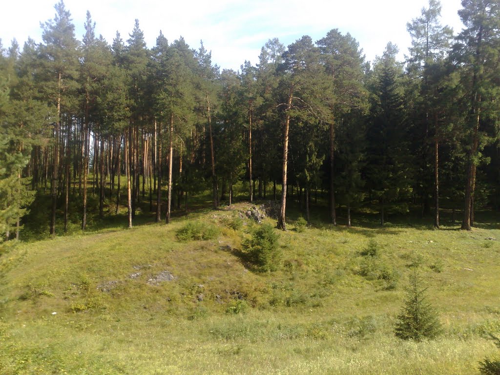 за Дублером