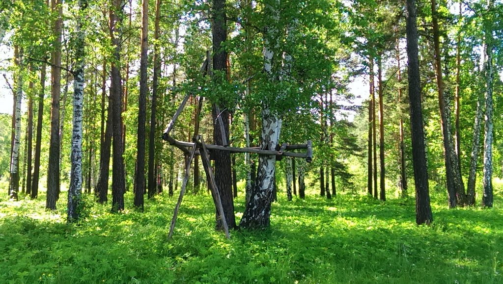 Непонятное сооружение в лесу