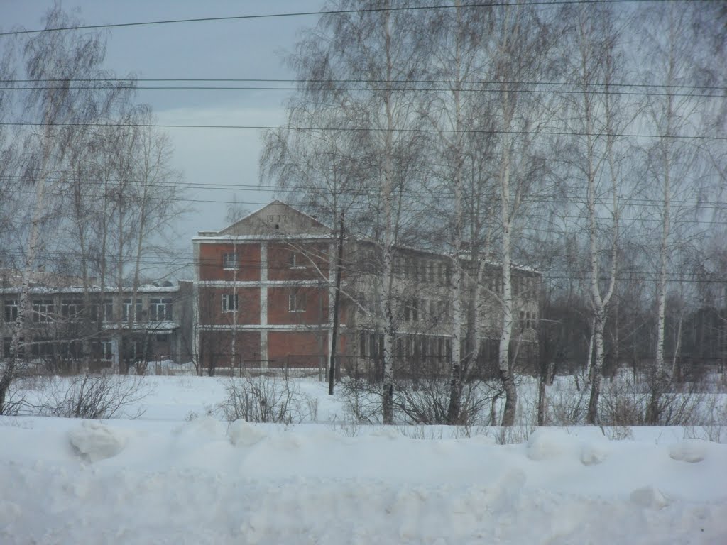 2011.01.06