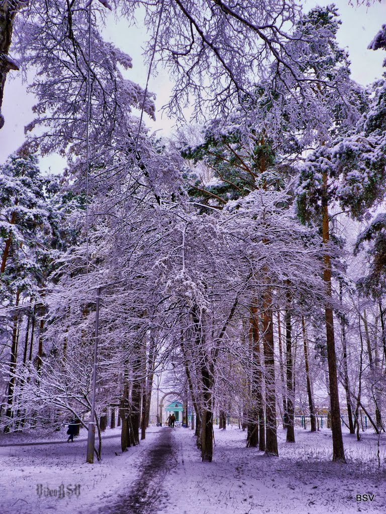 В парке