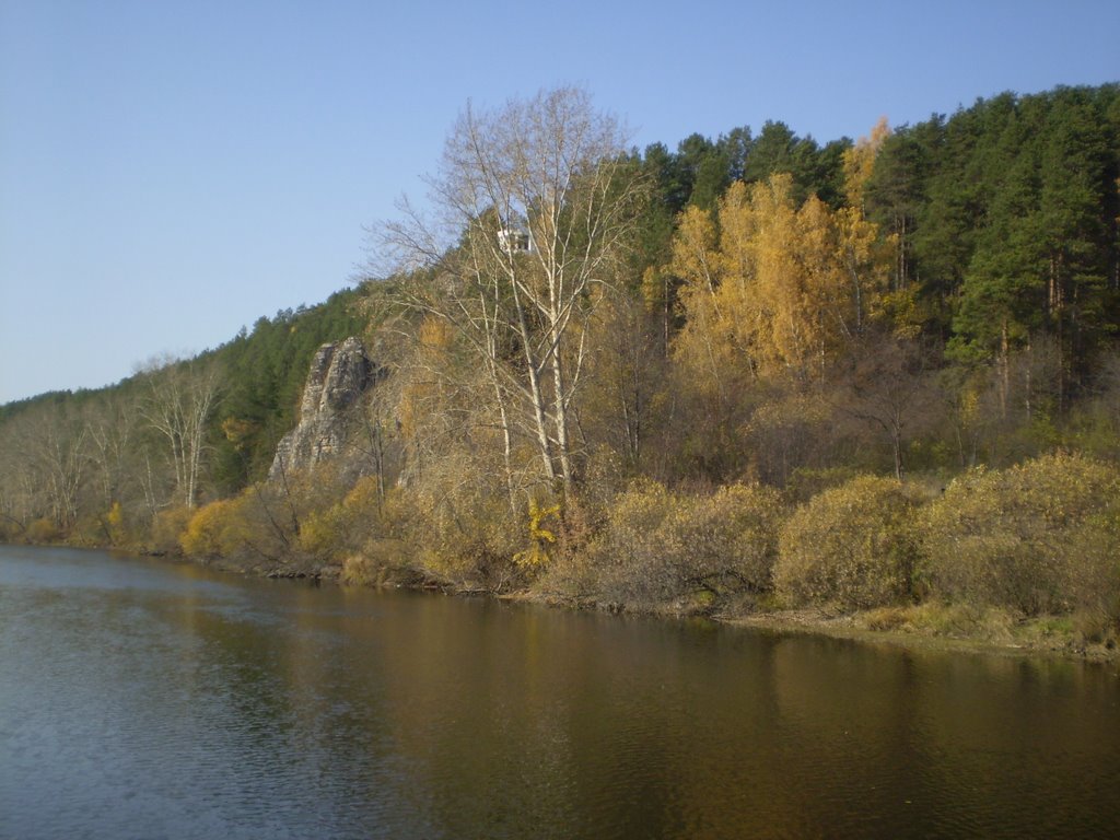 Курьи.