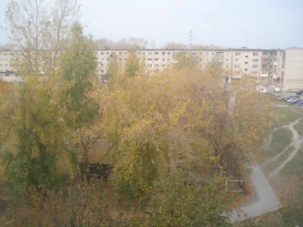 из окна