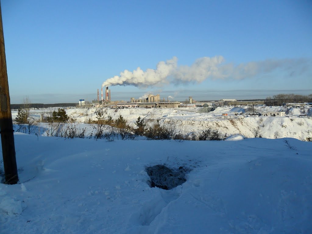 завод