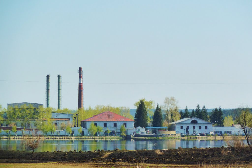 Сысерть. Завод.