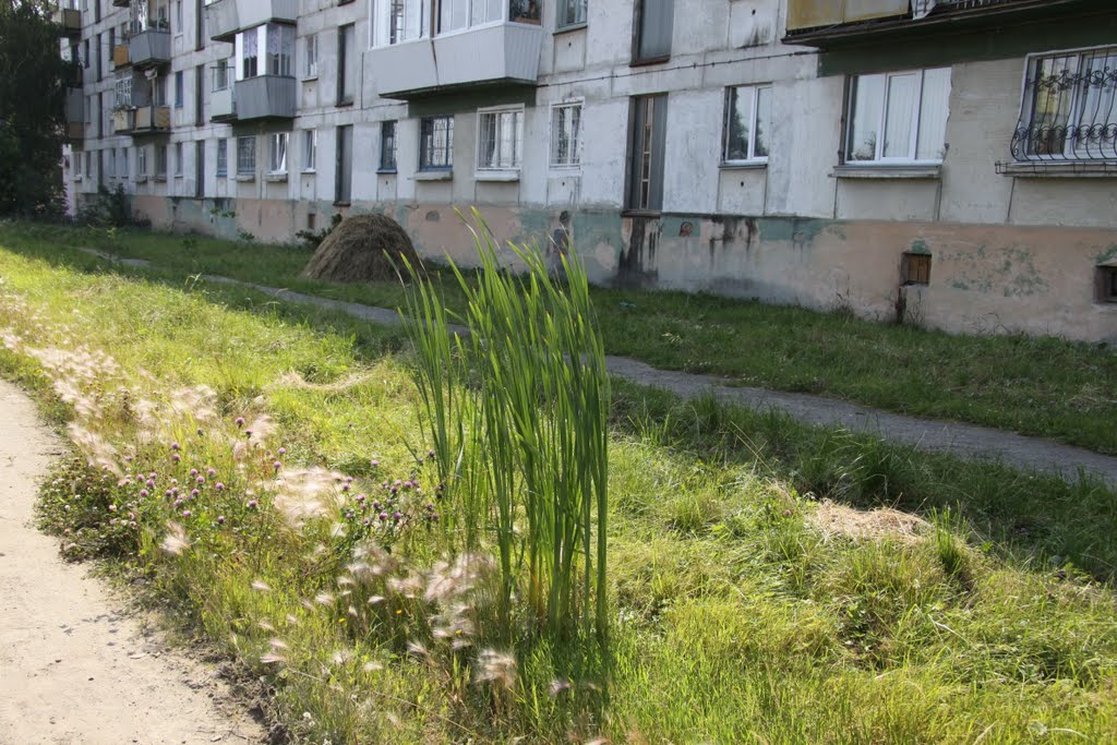 Виды Сысерти