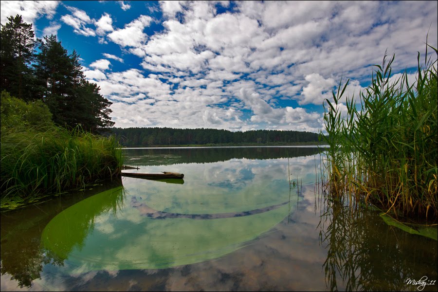 Залив / Bay