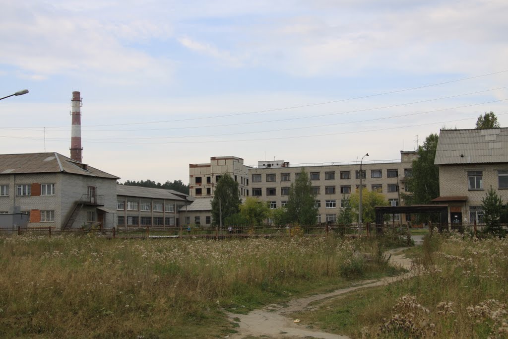 Комплекс зданий районной больницы