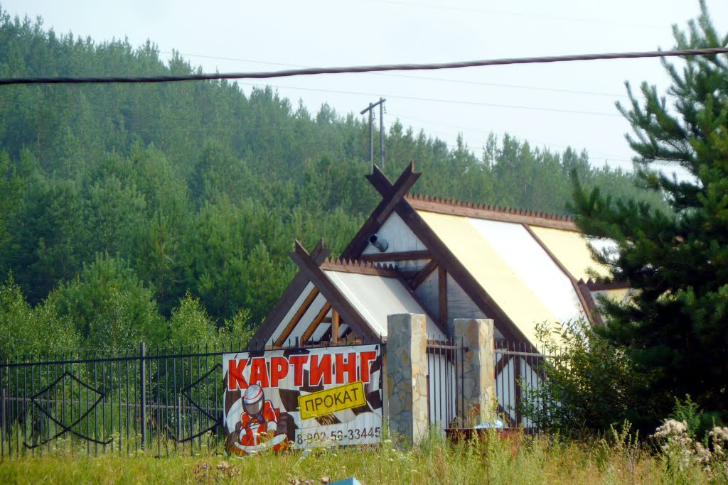 Сысерть. Картинг.